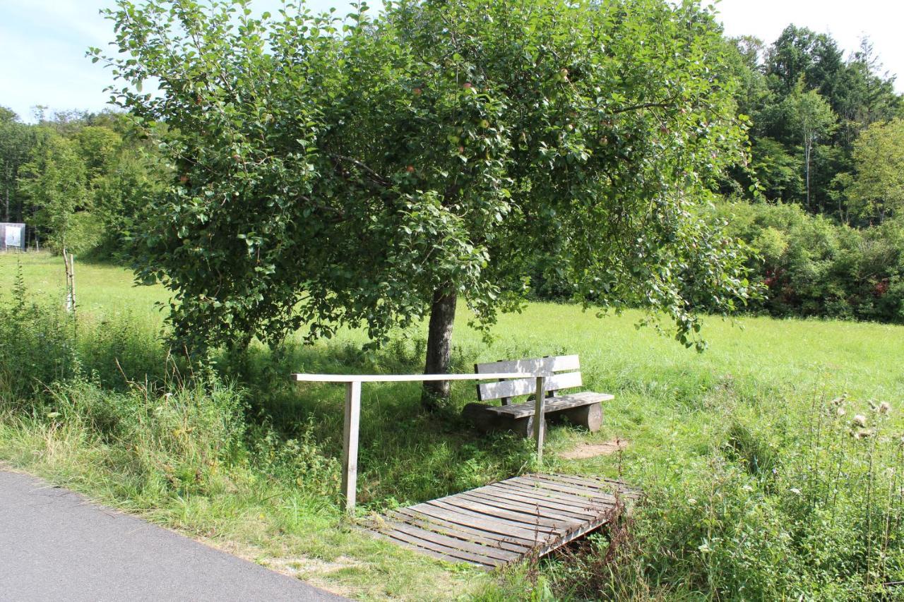 Oberschwarzach Ferienwohnung Forellenhof מראה חיצוני תמונה